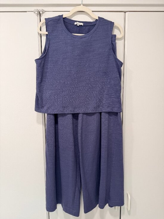 Z Supply Other - Z Supply Set with Crop top size large